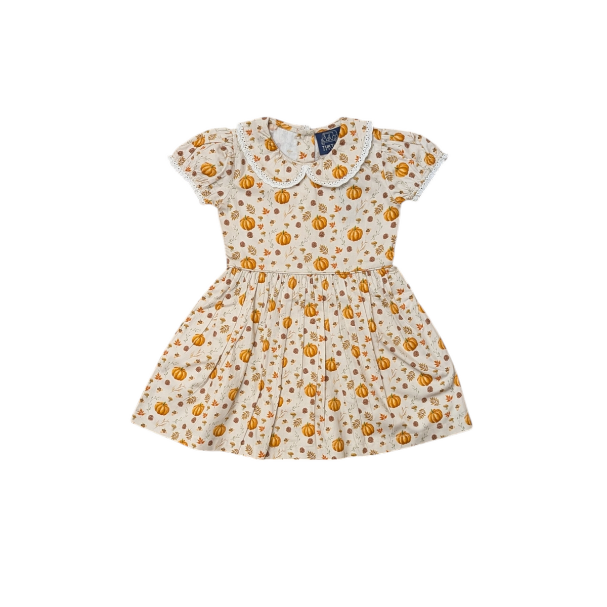 Fall Medley Peter Pan Collar Dress