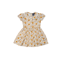 Fall Medley Peter Pan Collar Dress