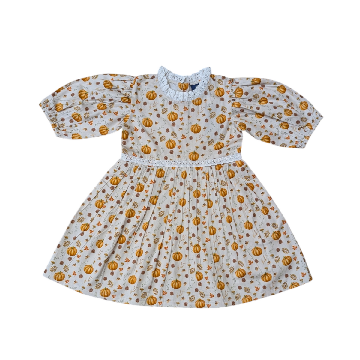 Fall Medley Puff Sleeve Dress