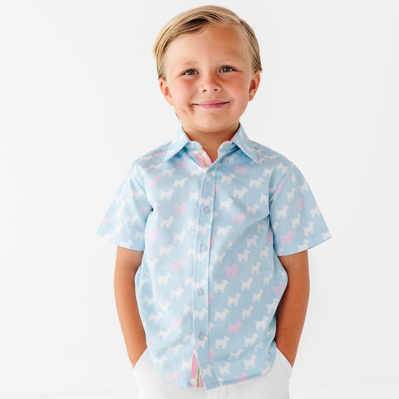 Young boy wearing a light blue shirt with a subtle pattern and white shorts on a white background